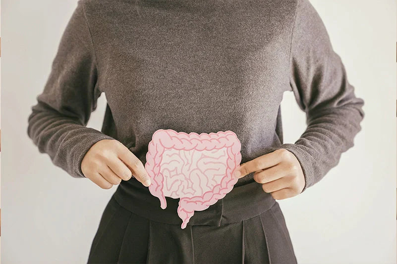 Antibiotika und das Mikrobiom: Warum Probiotika nach einer Antibiotikatherapie sinnvoll sein können