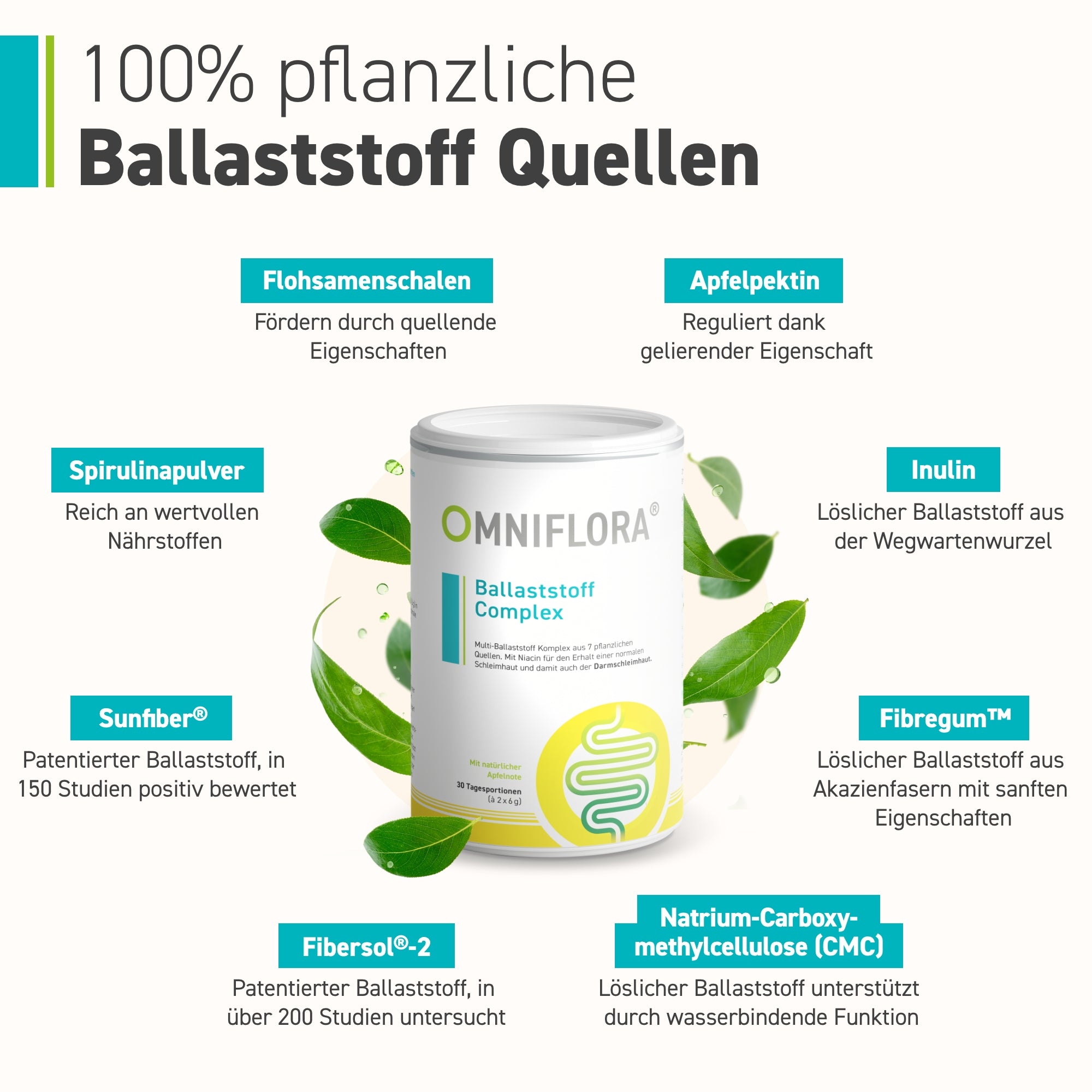 Die Grafik zeigt einen Kanister Omniflora® Ballaststoff Complex aus dem Omniflora Shop, umgeben von Symbolen veganer, pflanzlicher Ballaststoffquellen wie Leinsamen, Apfelpektin und Spirulina, die eine gesunde Verdauung unterstützen.